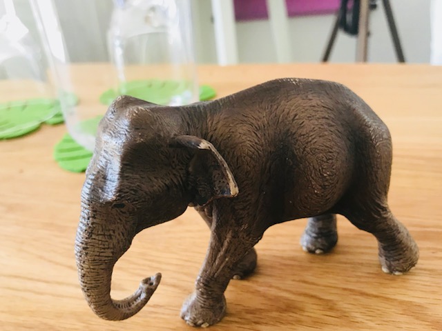 Der angekettete Elefant